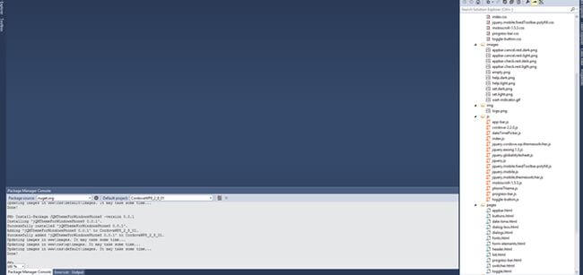 package manager console